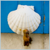 Photo: Scallop shell detail. Maison de Granit, French Country House, Treguier, France