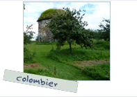 Photo: Colombier - Maison de Granit, Treguiers, France